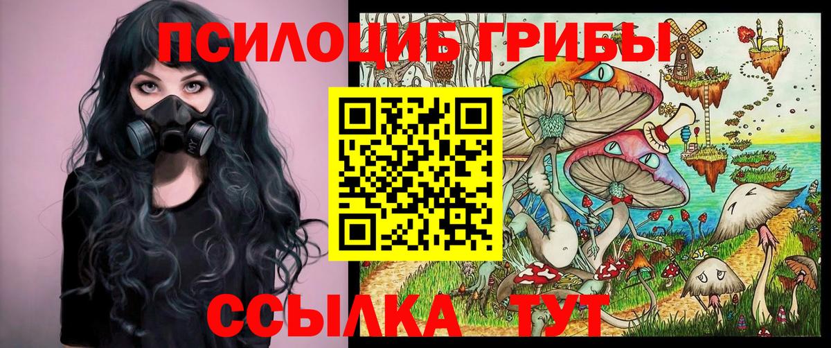 купить закладку  Вход с VPN  Уфа  Псилоцибиновые грибы мицелий 